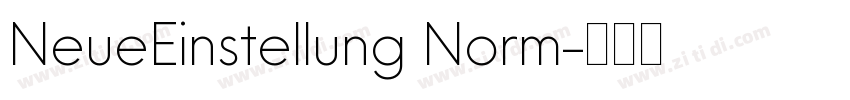 NeueEinstellung Norm字体转换